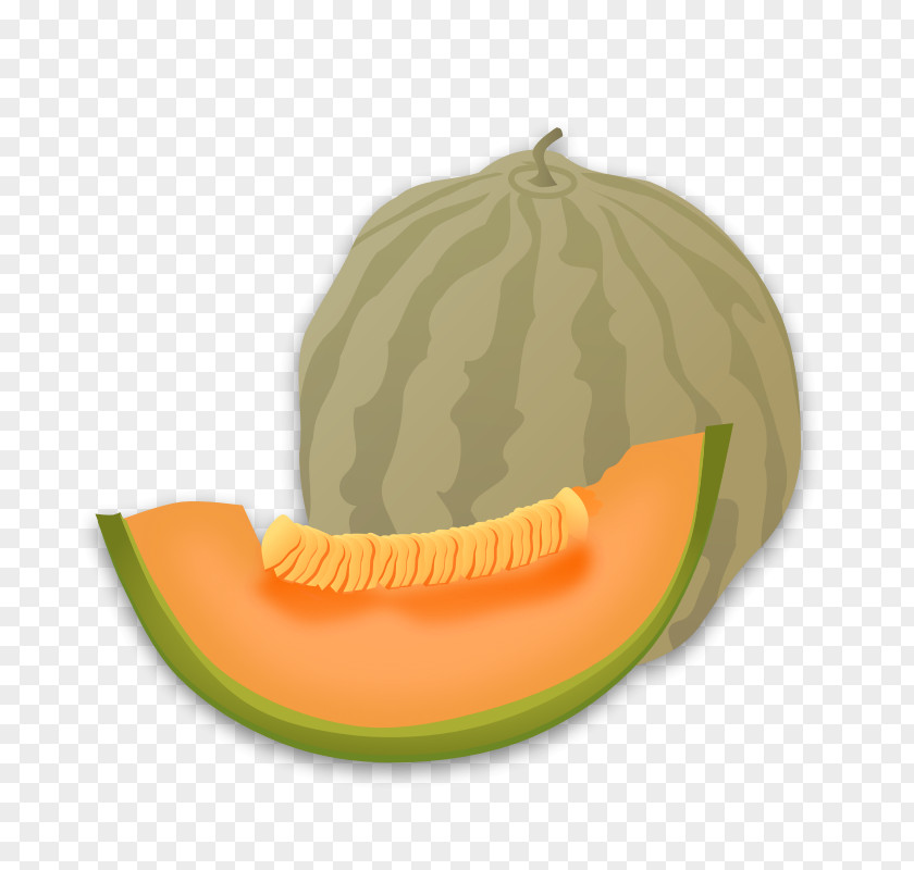 Melon Honeydew Cantaloupe Watermelon Clip Art PNG