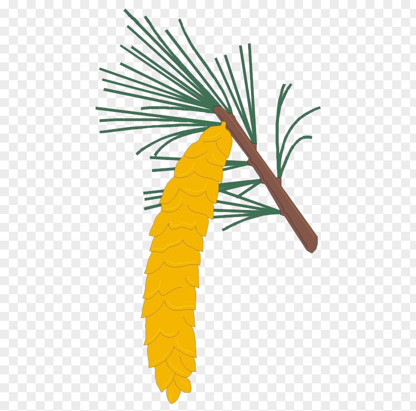 Palm Fruit Computer Renderings Tree Illustration PNG