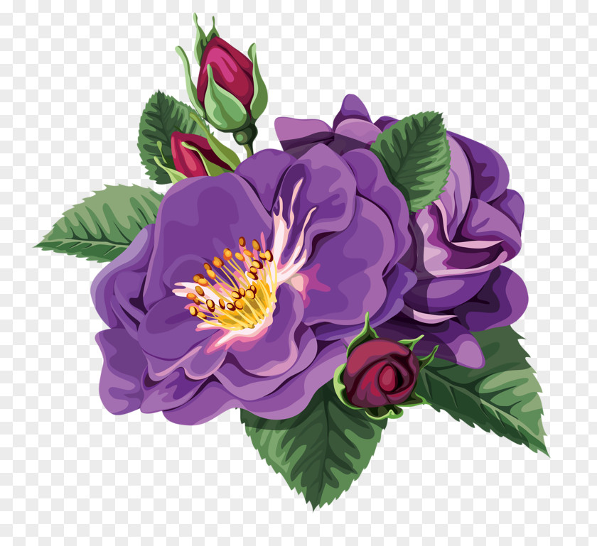 Purple Rose Rosa Chinensis Flower Clip Art PNG