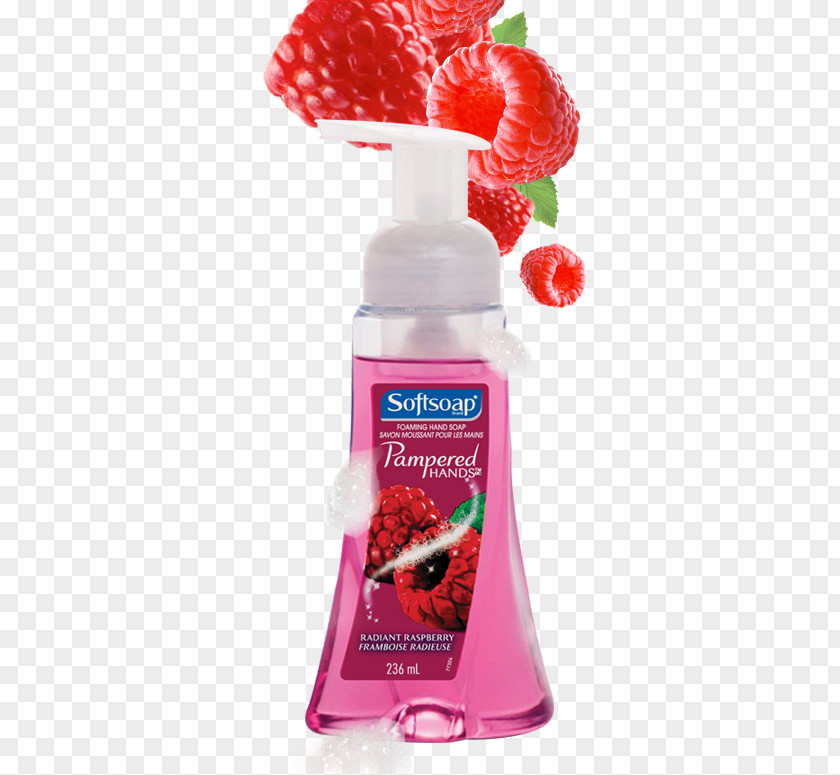 Soap Foam Softsoap Raspberry Fruit Pampered Hands PNG