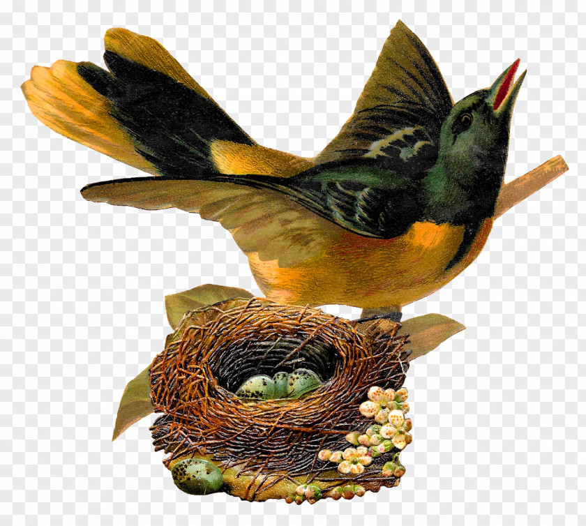 Vintage Birdcage Bird Nest Art Clip PNG