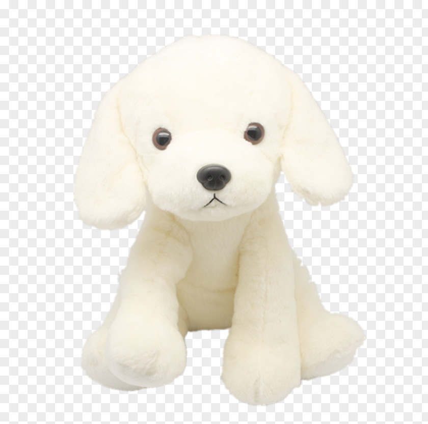 White Dog Plush Toys Puppy Breed Companion PNG