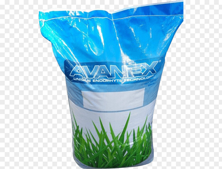 Aircraft Tall Fescue Flowerpot Plastic Water PNG