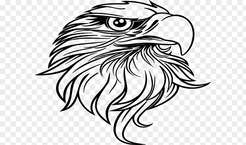 Eagle Painting Bald Black-and-white Hawk-eagle Drawing Clip Art PNG