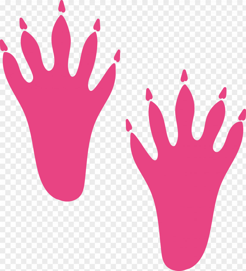 Hand Model Pink M Nail Petal Meter PNG