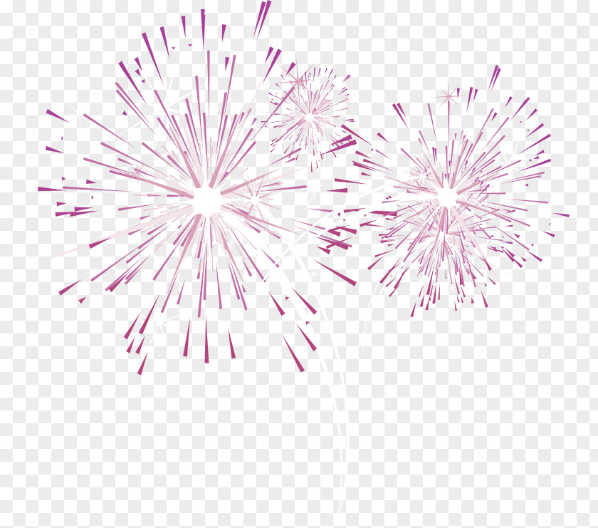Purple Fresh Fireworks Effect Elements PNG