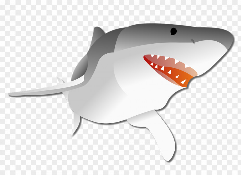 Shark Wall Decal Charles Silvestri Junior High School Wallpaper PNG