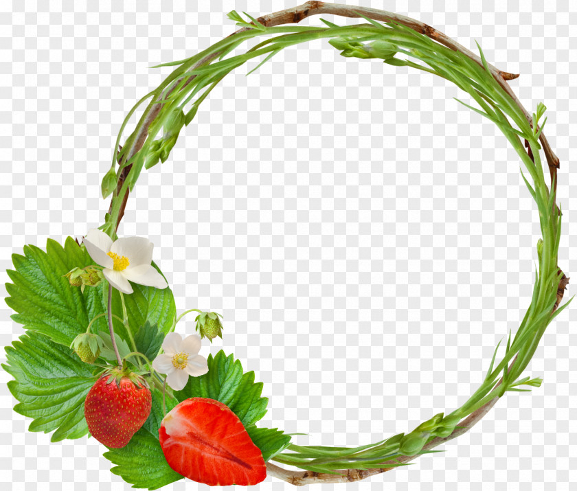 Strawberry Picture Frames Flower Photography PNG
