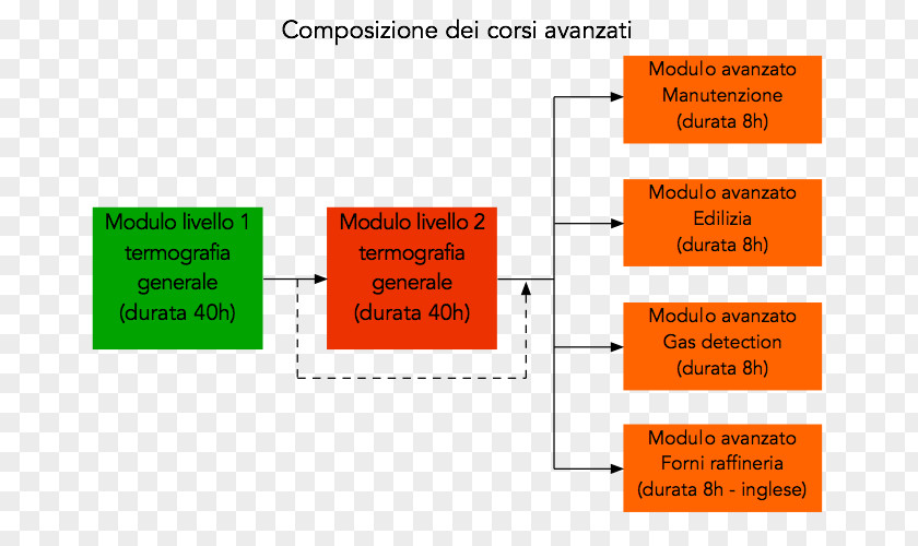 Termografia Thermography FLIR Systems Infrared Knowledge Body Mass Index PNG