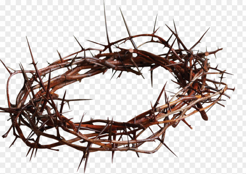 Thorn Crown Of Thorns Christian Cross Gospel Thorns, Spines, And Prickles Clip Art PNG