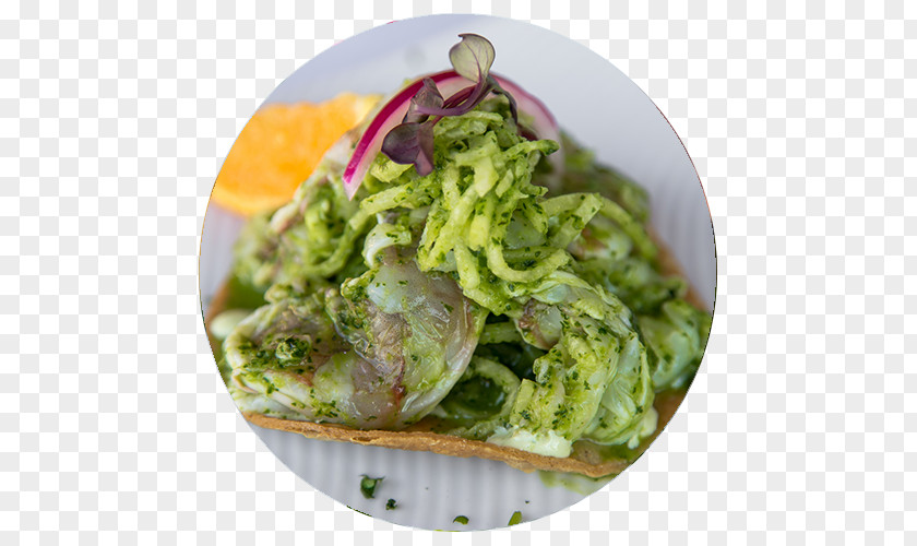 Toast Caesar Salad Tostada Aguas Frescas Ceviche PNG