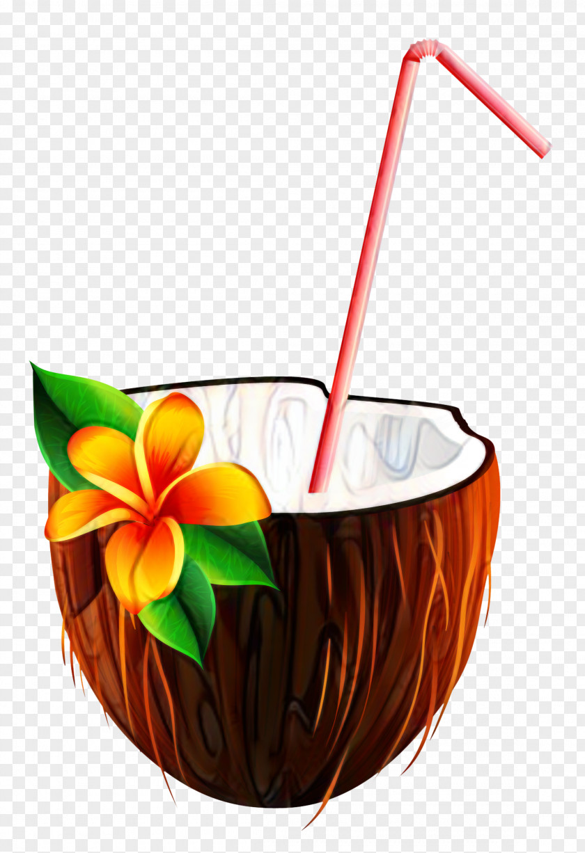 Coconut Water Orange Juice Cocktail Fizzy Drinks PNG