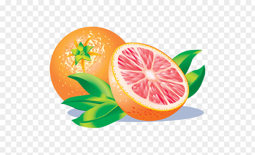 Grapefruit Juice Clip Art PNG