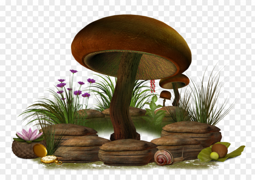 Mushroom Clipart Plant Flowerpot PNG