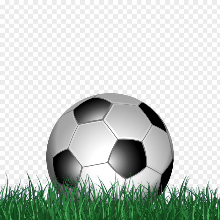 Vector Green Field Football Pitch Soccer-specific Stadium PNG