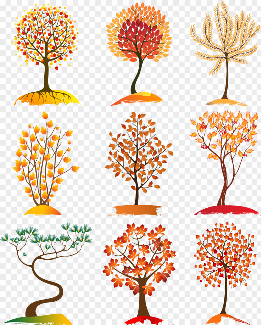 Vector Tree Pictures Autumn Leaf Color Euclidean PNG