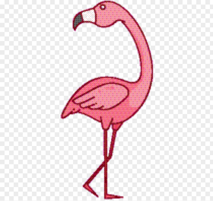 Water Bird Pink Flamingo PNG