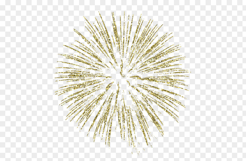 Fireworks Gold Clip Art PNG