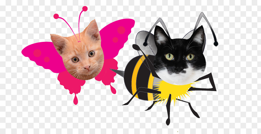 Float Like A Butterfly Sting Bee Whiskers Kitten Cat Waffle Snout PNG