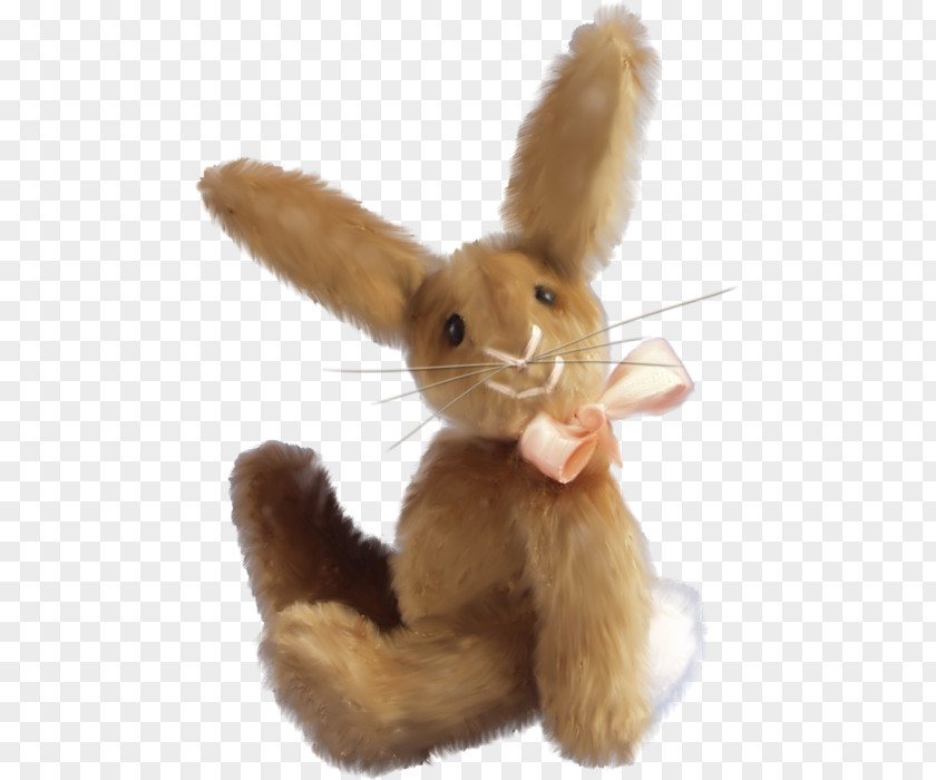 Rabbit Domestic Clip Art PNG