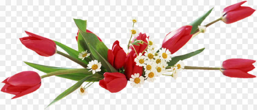Tulip Desktop Wallpaper Vase Flower PNG