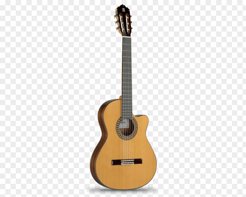 Electro Alhambra Classical Guitar Cutaway Acoustic PNG