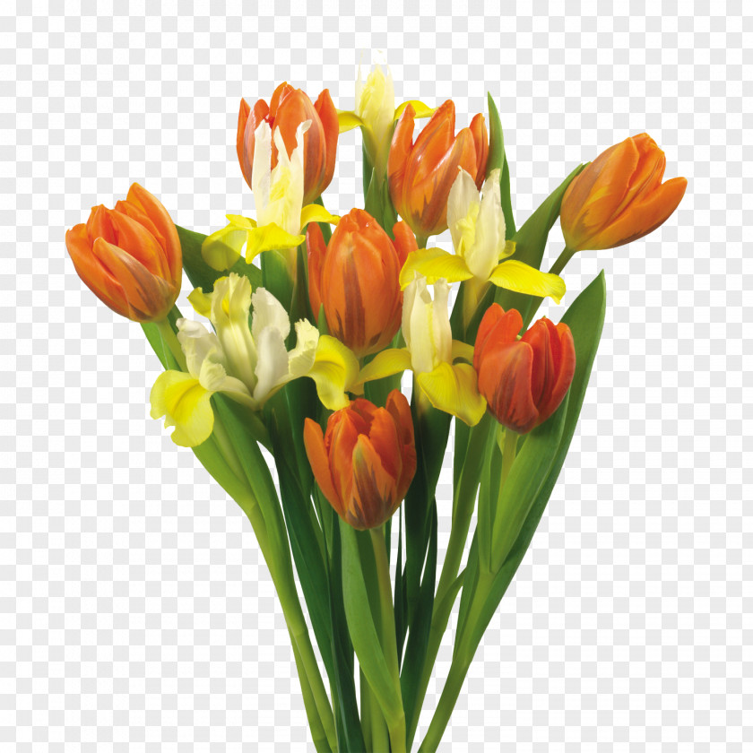 Apricot Flower Bouquet Tulip PNG