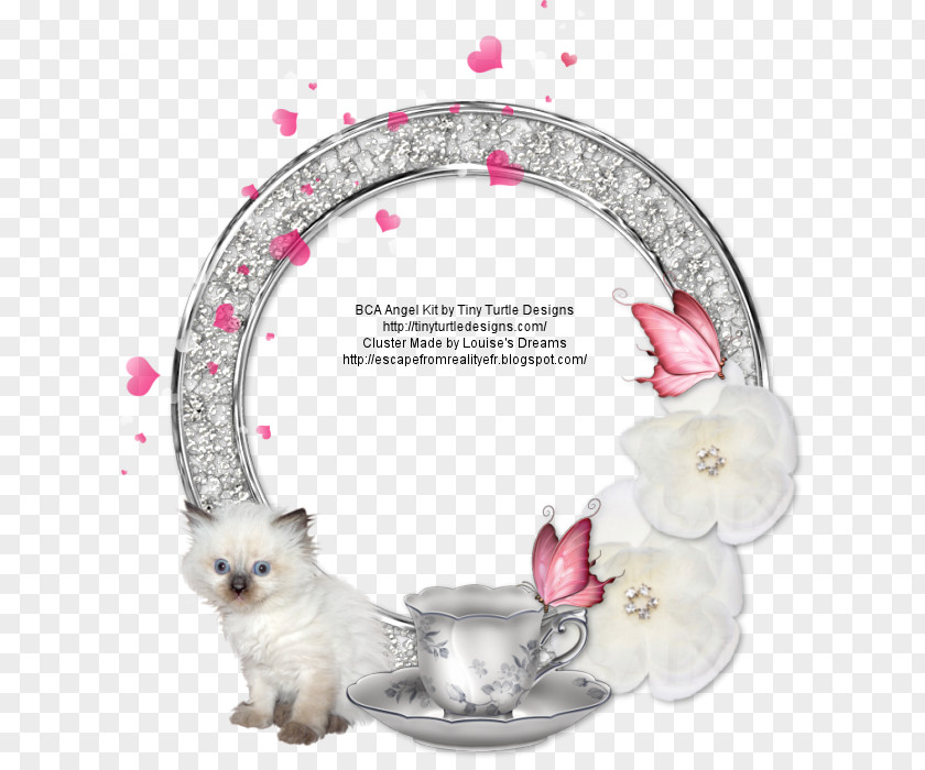 Cat Picture Frames Reality PNG
