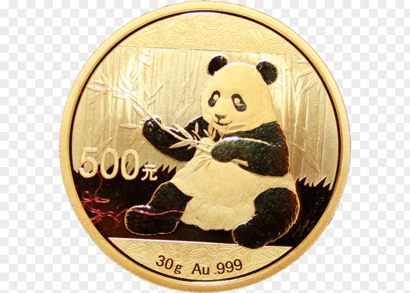 Coin Silver Giant Panda Gold PNG