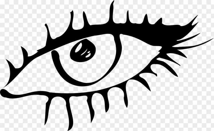 Eye Human Kleurplaat Drawing Eyelid PNG