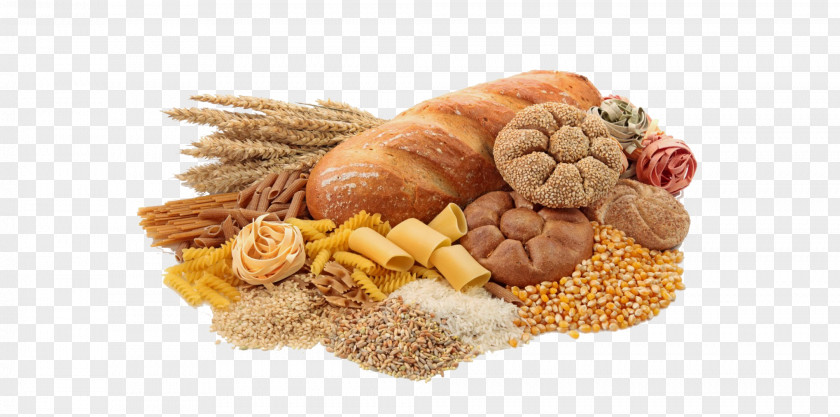 Fiber Carbohydrate Nutrient Food Function PNG