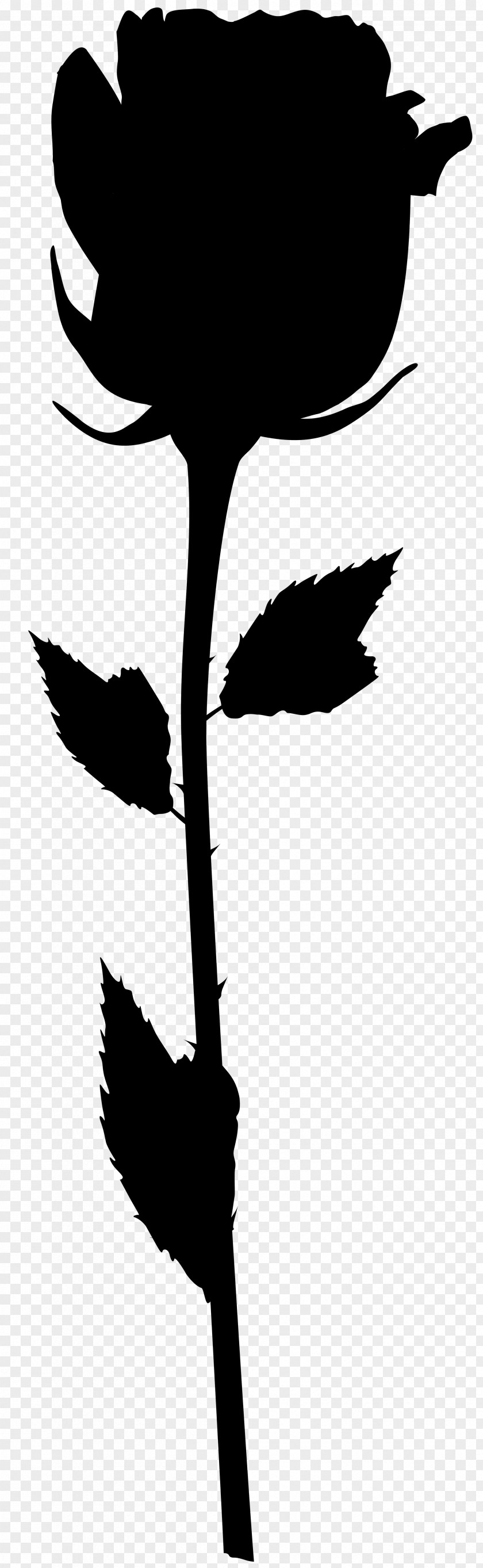Flower Clip Art Plant Stem Leaf Silhouette PNG