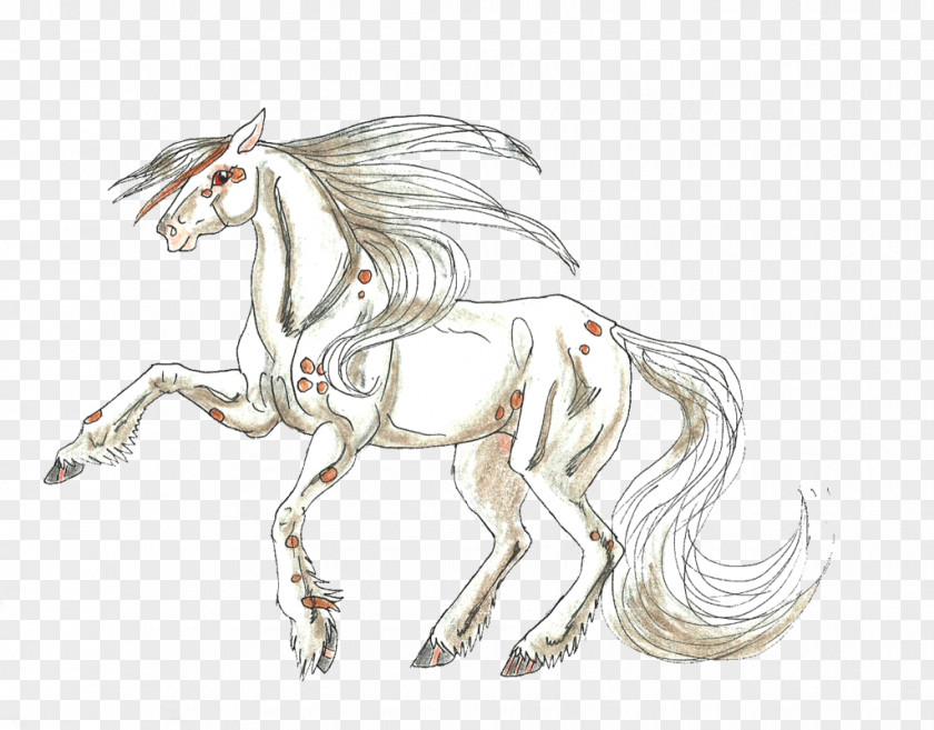 Mustang Mane Pony Line Art Sketch PNG