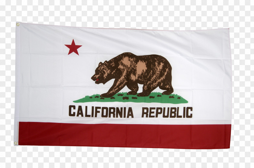 Rainbow California Republic Flag Of The United States PNG