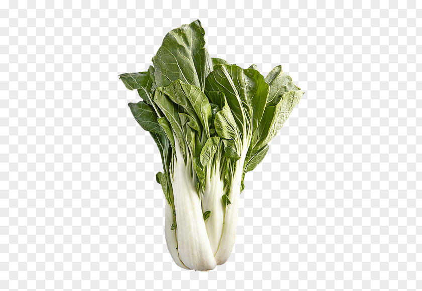Yu Choy Shanghai Bok Chard Spinach Cabbage Vegetable Photography PNG