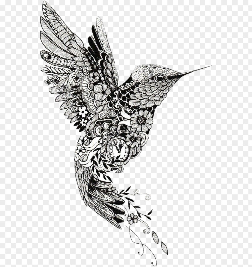 Bird Hummingbird Mehndi Tattoo Mandala Henna PNG