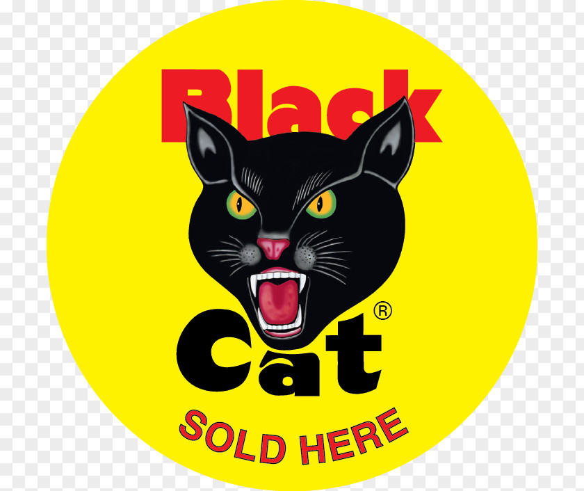Black Fireworks Cat Ltd. Firecracker Standard PNG