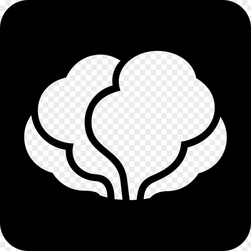 Broccoli Drawing Fischereihafen Business Club Web Page Symbol Text Clip Art PNG