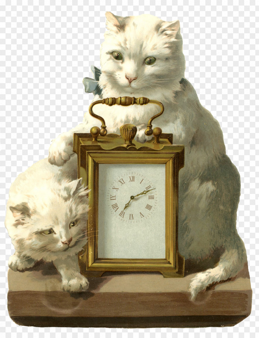 Cat Whiskers Domestic Short-haired Clock PNG