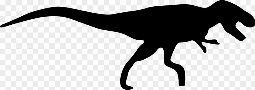Dinosaur Tyrannosaurus Carnotaurus Triceratops Velociraptor PNG