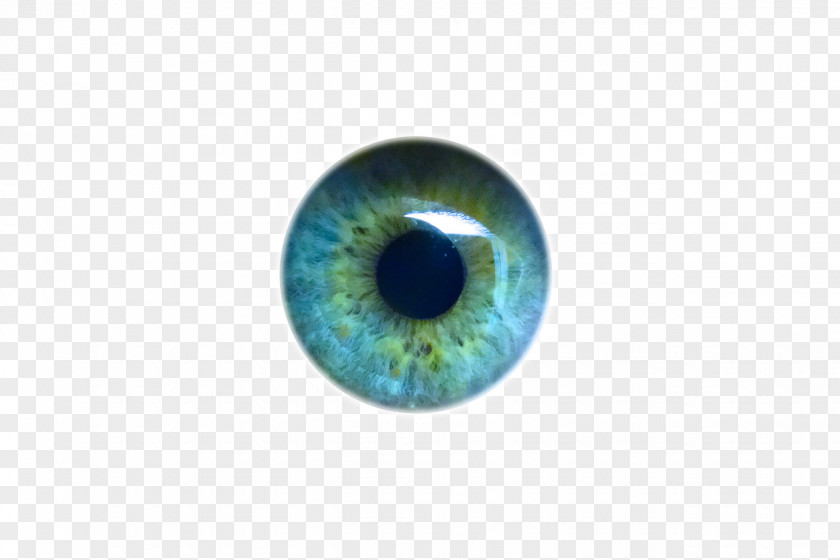 Eyes Light Human Eye Iris Pupil PNG