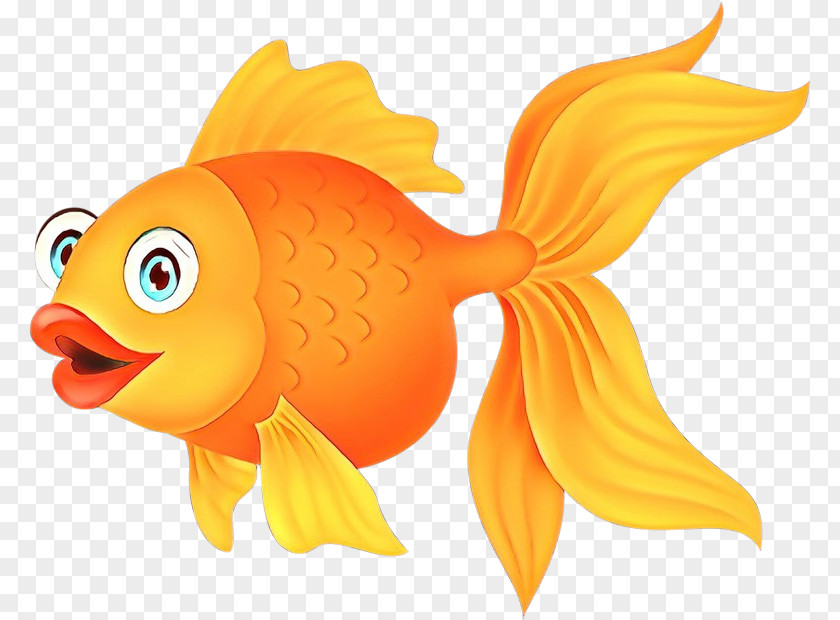 Fish Goldfish Fin Pomacentridae PNG