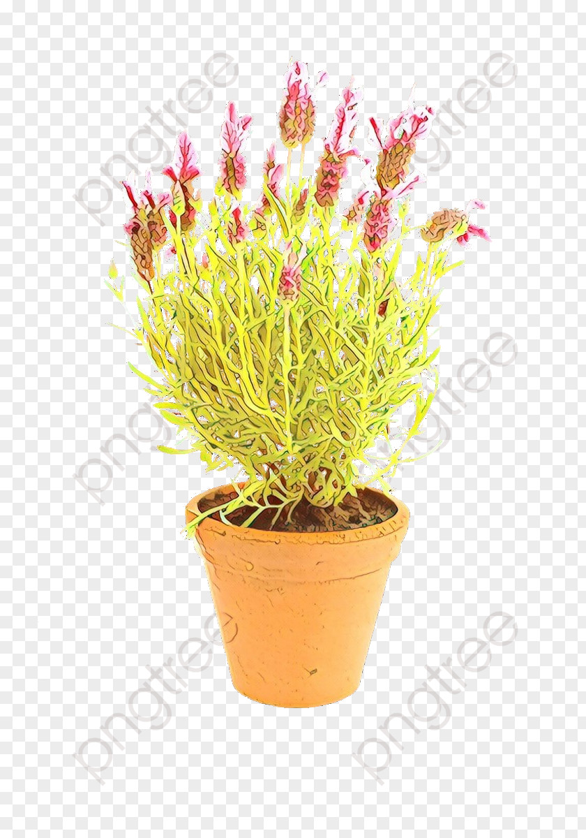 Flower Flowerpot Plant Grass Houseplant PNG