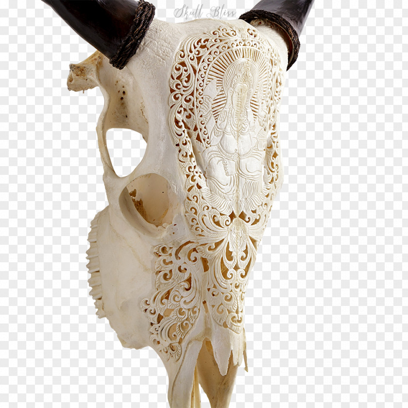 Ganesha Bone Skull Neck PNG