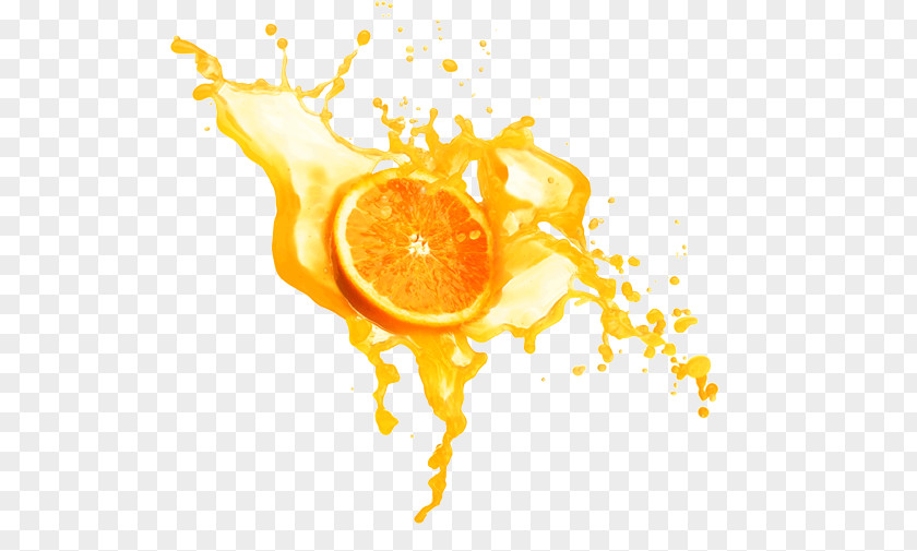 Juice Orange Cocktail Fizzy Drinks PNG