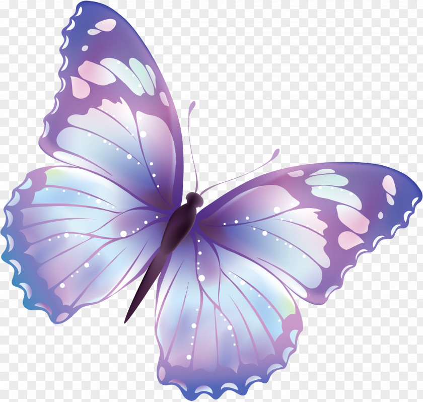 Large Transparent Butterfly Clipart Pixel Clip Art PNG