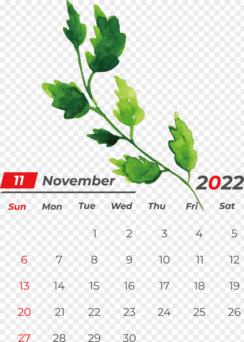 Leaf Calendar Font Tree Meter PNG