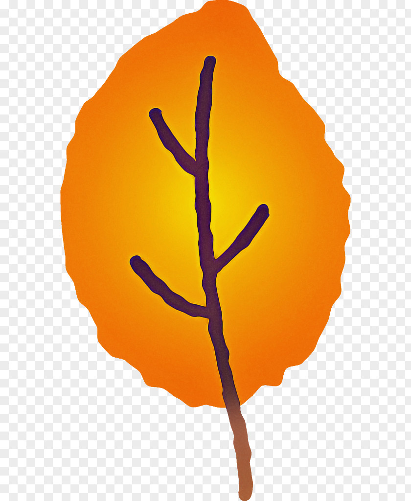 Orange PNG