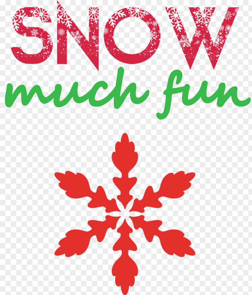 Snow Much Fun Snowflake PNG