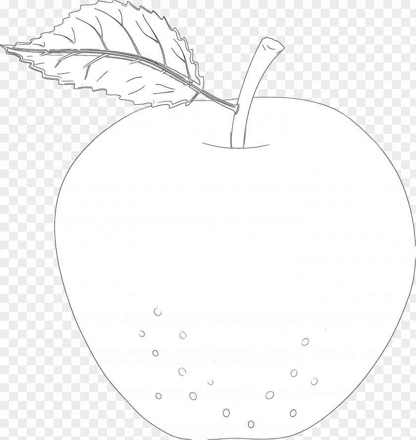 Tree Apple Line Art Leaf Fruit Plant Drawing PNG